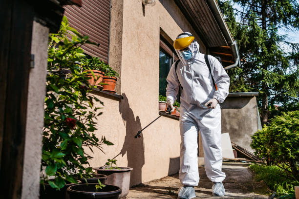 Best Mosquito Control Services  in Mount Hermon, CA