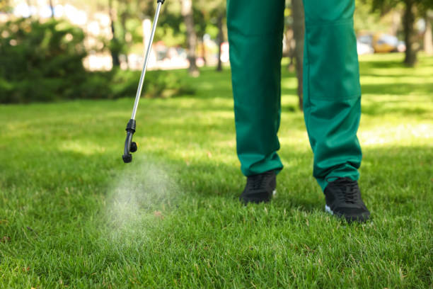 Best Bed Bug Extermination  in Mount Hermon, CA