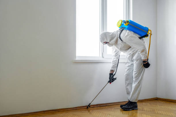 Best Flea Control Services  in Mount Hermon, CA