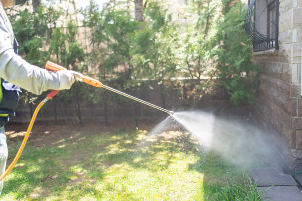 Best Insect Control  in Mount Hermon, CA