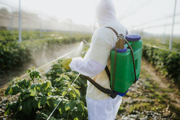 Best Pest Control Near Me  in Mount Hermon, CA